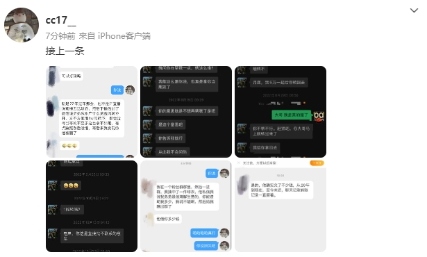 背后真相：戴琳弟弟的实际借款目的
