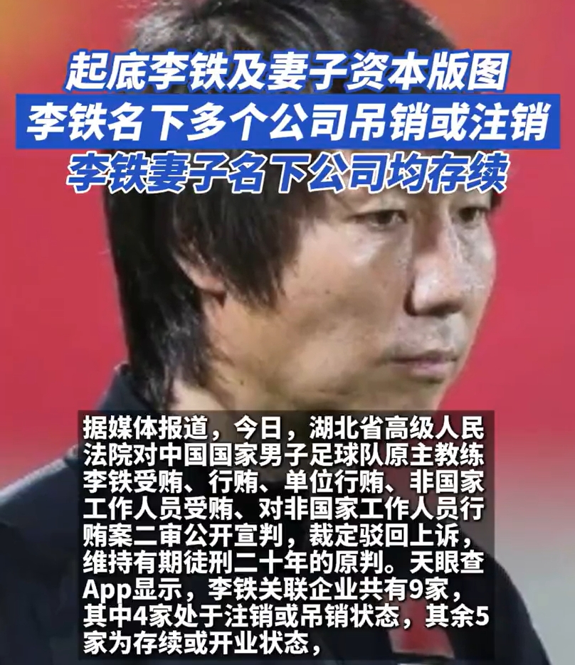 关联企业存续状况调查